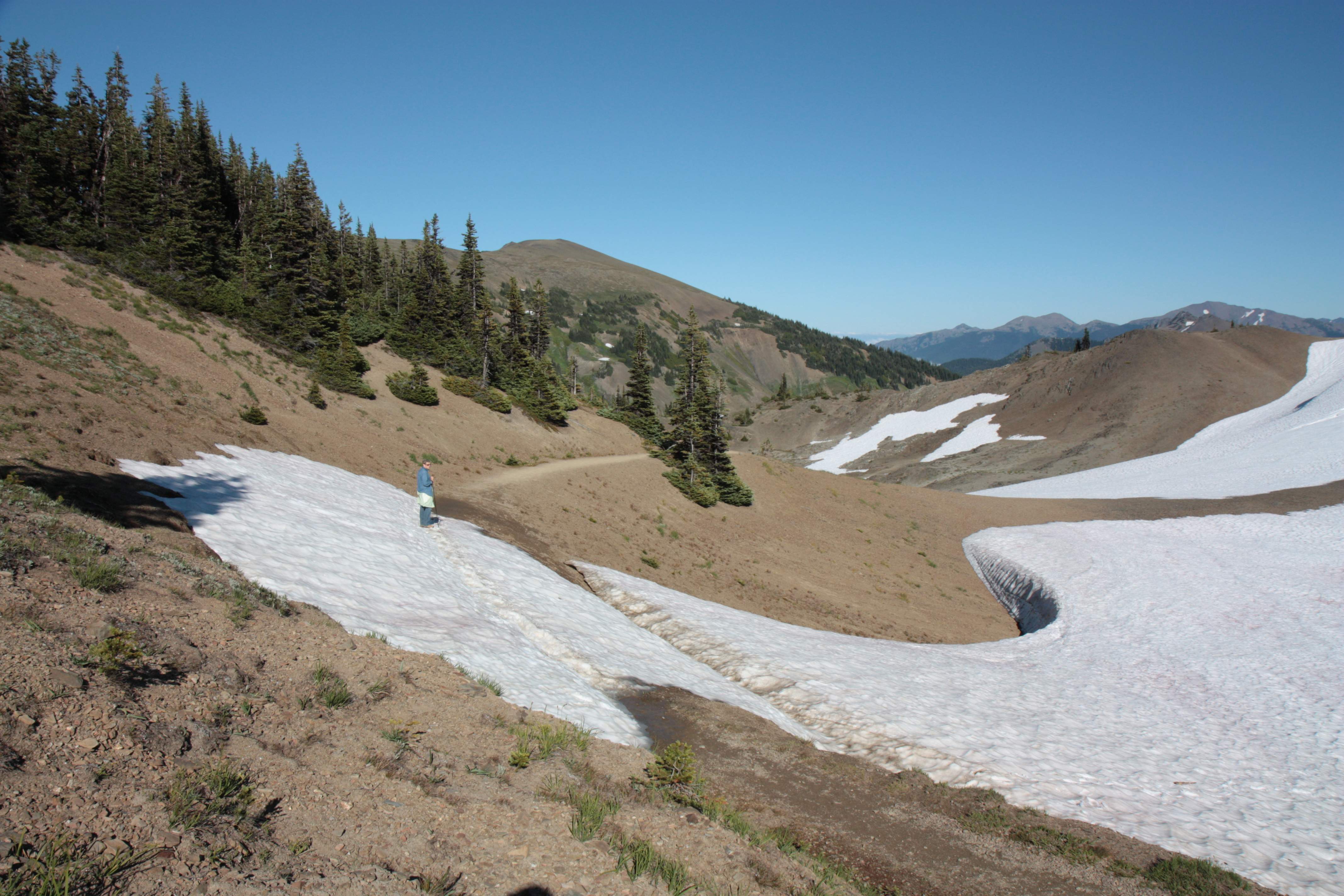 Olympic NP